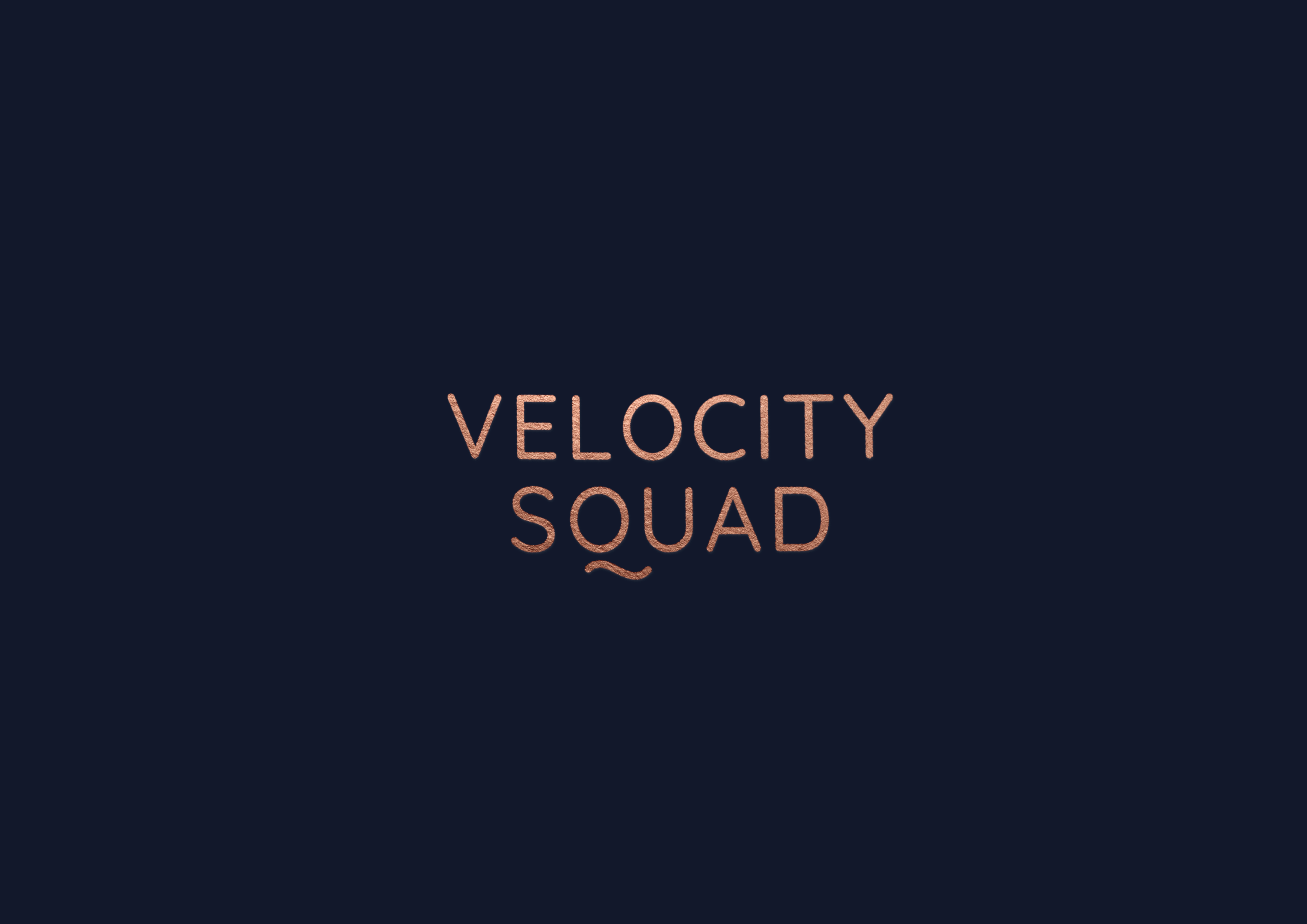 Website | VelocitySquad