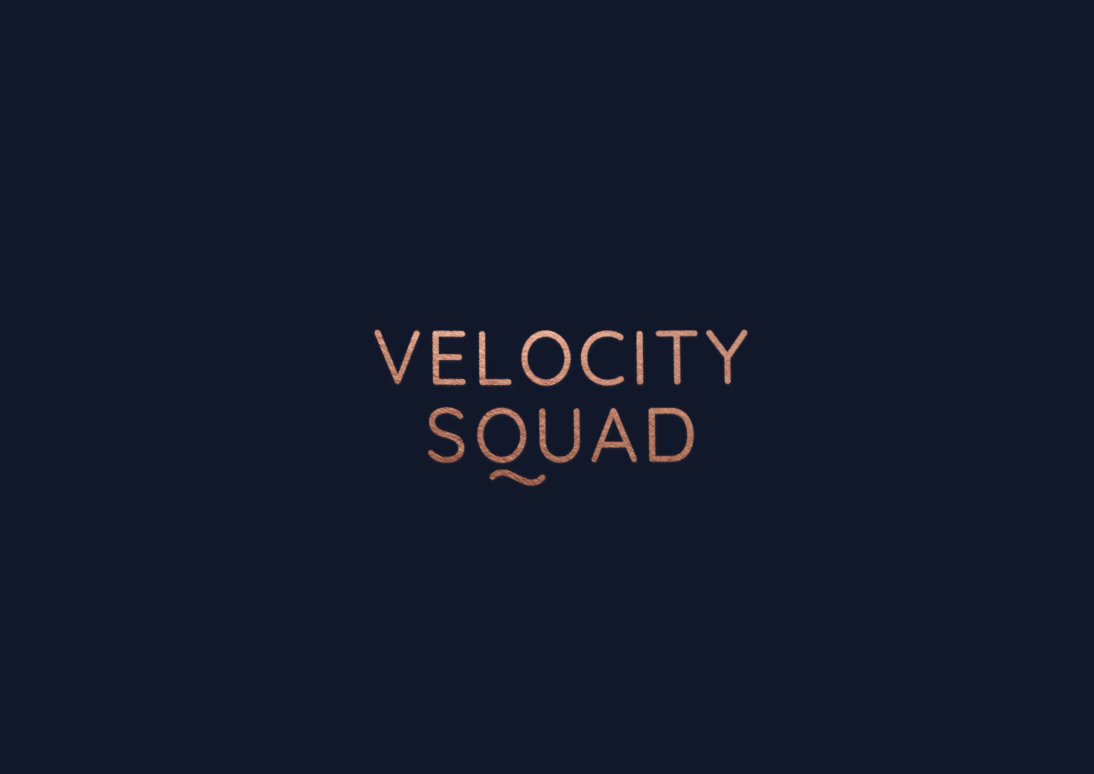 Cover image for VelocitySquad